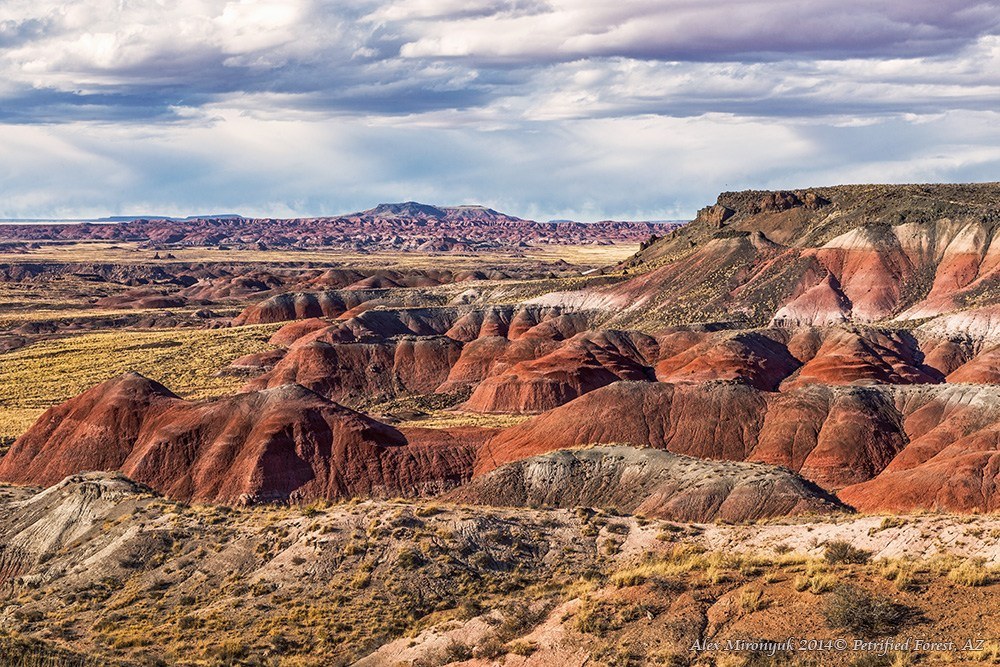 Eagle’s View — Arizona. Pet, Senior, Landscape, portrait studio, photographer in Miami and Sou