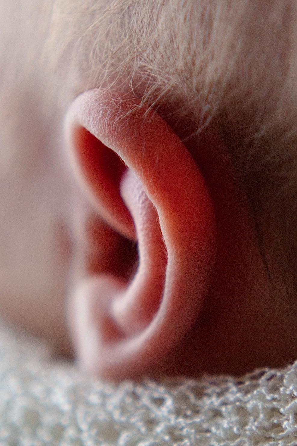 Макросъёмка. Фотограф новорождённых (Newborn) и малышей до года в Латвии и Эстонии | Alina Photo