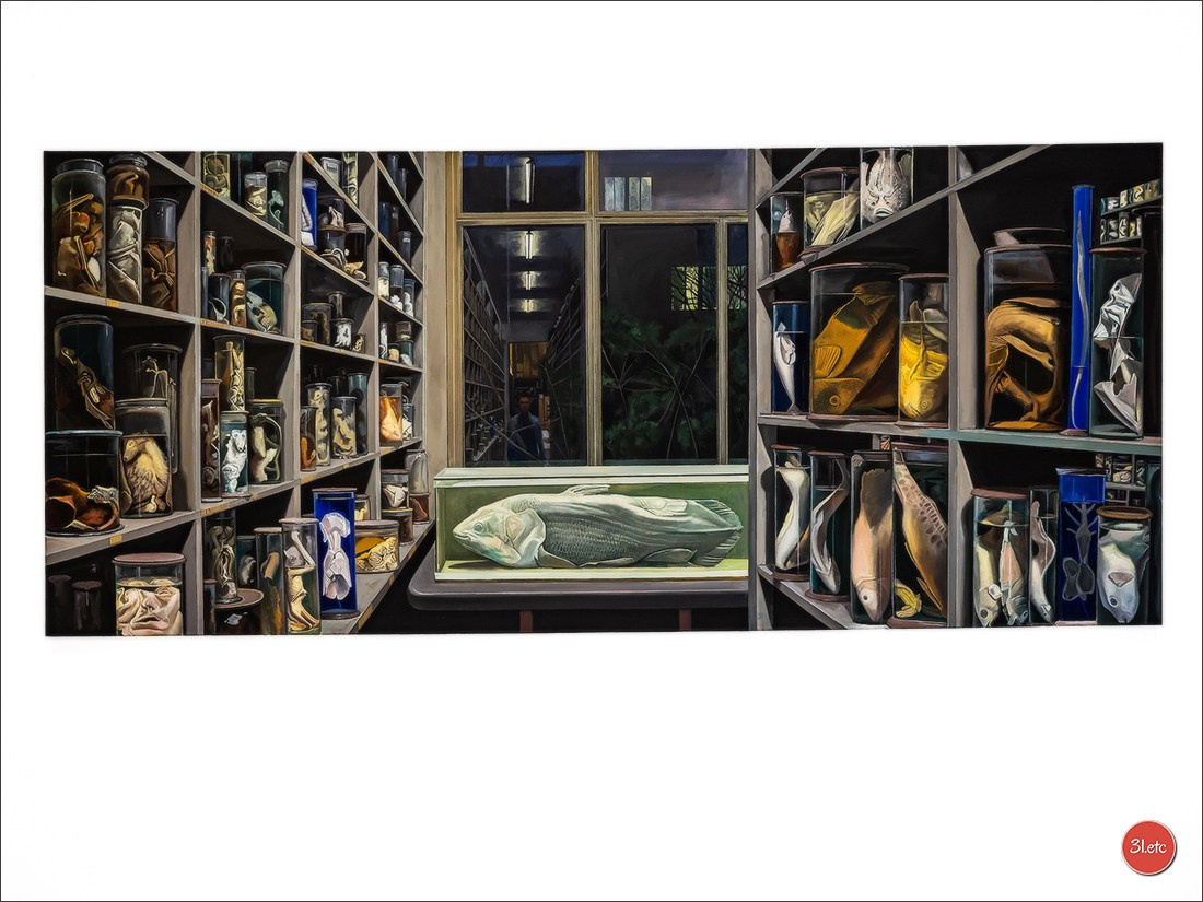 Musée d'Art Moderne et Contemporain de Strasbourg. Photographe à Strasbourg | Portraits, Studio, Enfants, Événements