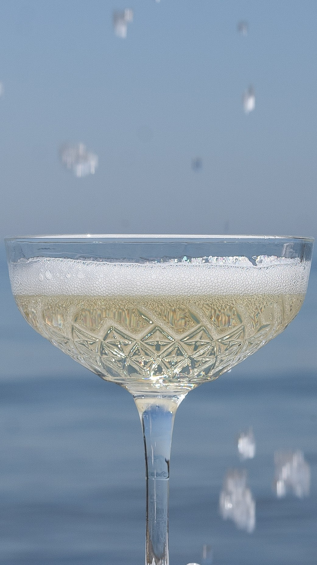 Restaurant Marbella costa del sol restaurante. Photo and video service in Malaga-Marbella-Estepona