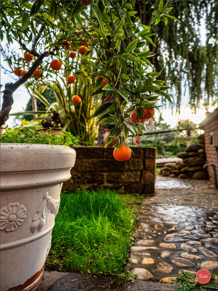 San Marino - Catolica 🇮🇹. Photographe à Strasbourg | Portraits, Studio, Enfants, Événements
