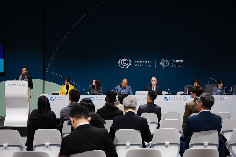 COP29. Ulvidasdamir.com