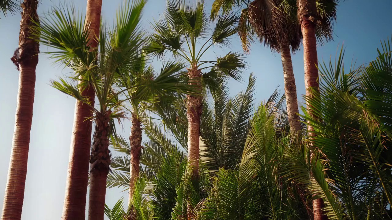Portfolio Video. Vitalii Honiukov | Photography production based in Dubai, UAE
