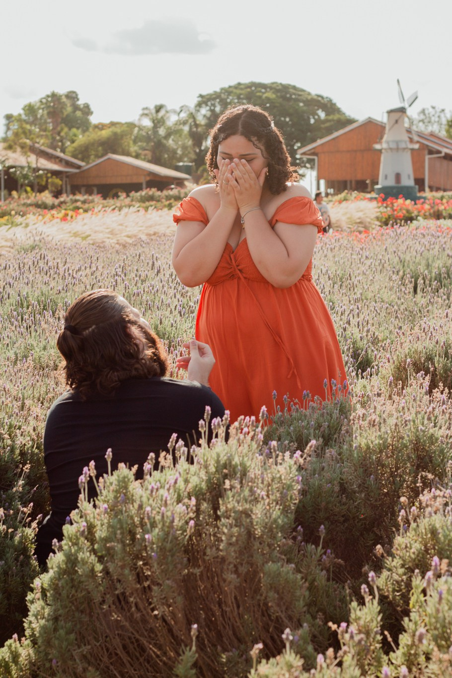 Pamela e Gabriel / Macena Flores — Holambra. Joyce Maria Fotografia | Fotógrafa em Holambra
