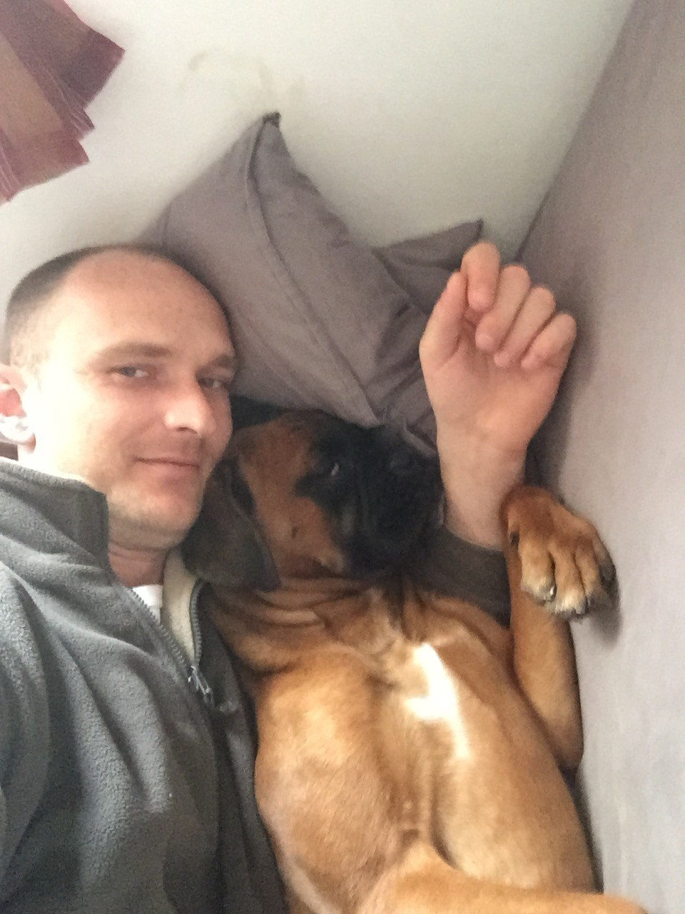 My ״Star״ Boxer Dog