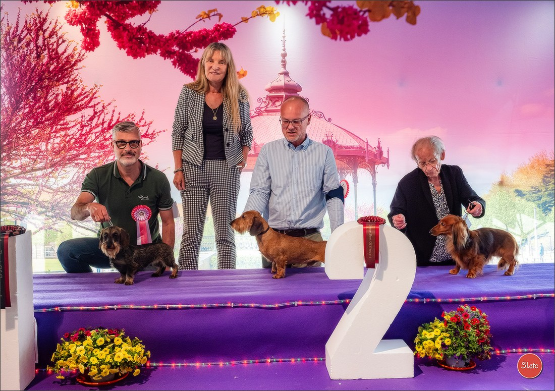 Expo canine 🇫🇷 Valence 03-04/05/2025. Photographe à Strasbourg | Portraits, Studio, Enfants, Événements