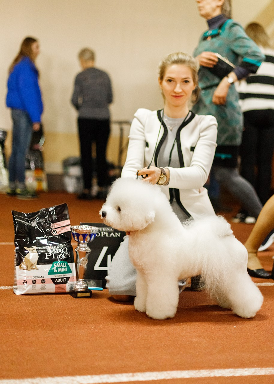 Grodno dog show. Kaja | fotograf we Wrocławiu | ludzie i psy