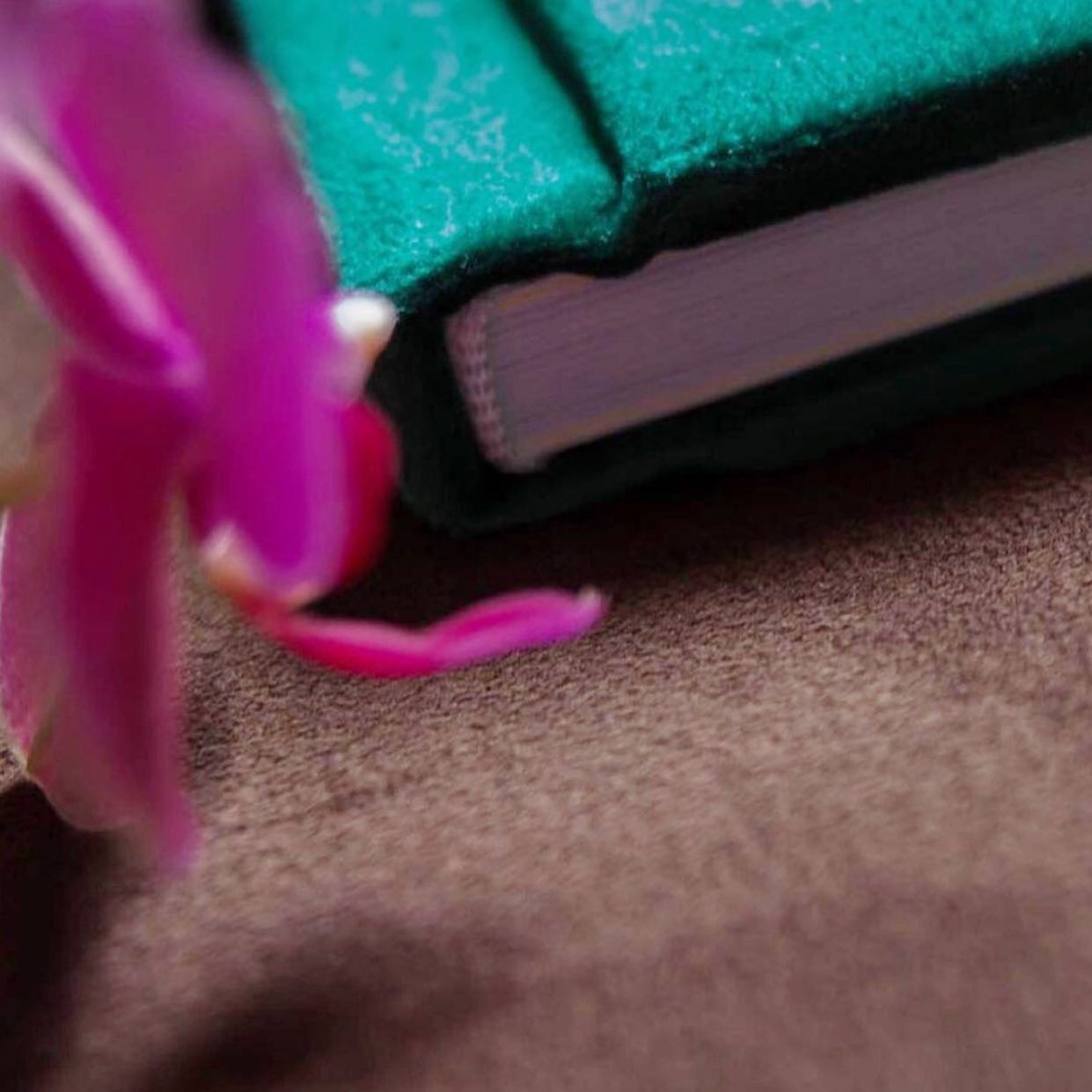 Фотокниги. Свадебное фото и видео в городе Плзень. Александр Ерёменко и Любовь Роман