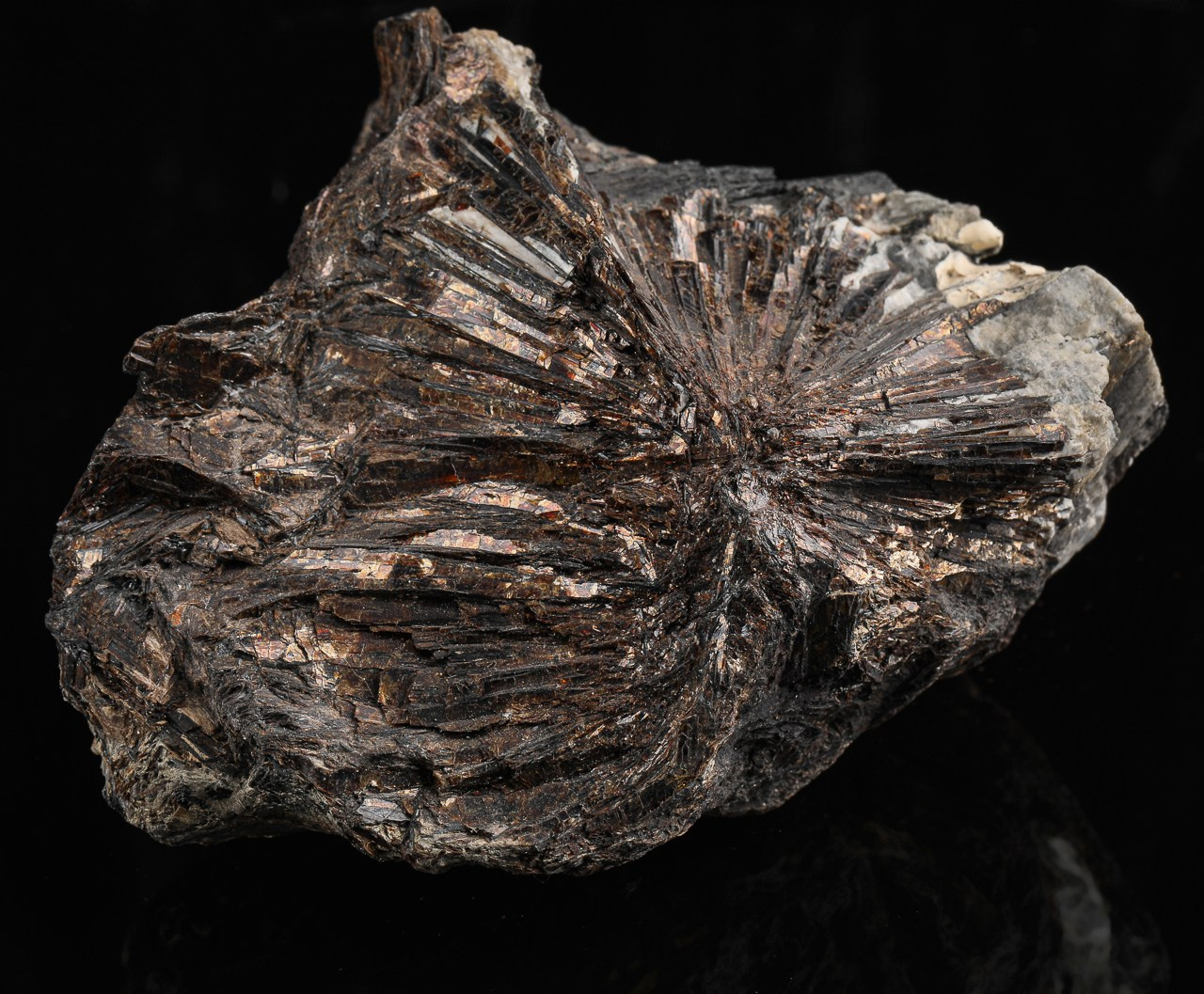 Minerals. The-yan.com