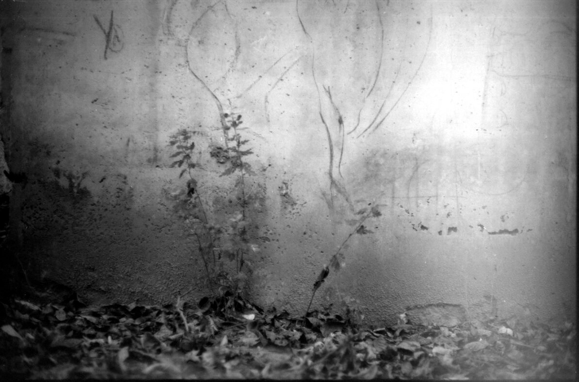 Garden of stones. Natalia Parfenova visual artist film photographer