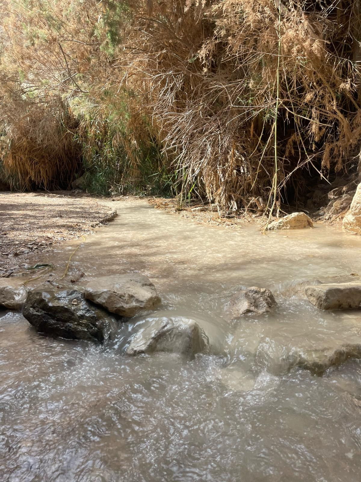 Женский поход 2024 — клуб «Нортман». КРиС «Нортман»