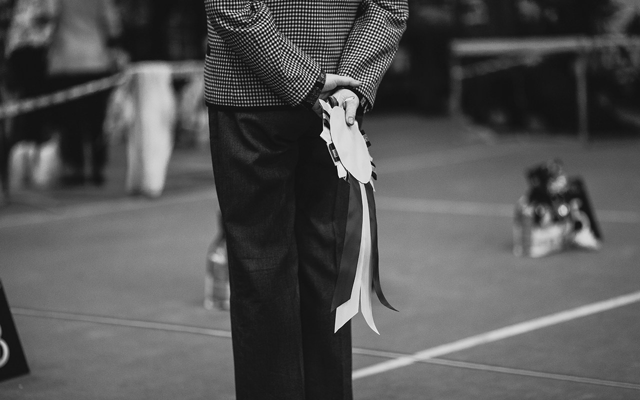 Grodno dog show. Kaja | fotograf we Wrocławiu | ludzie i psy