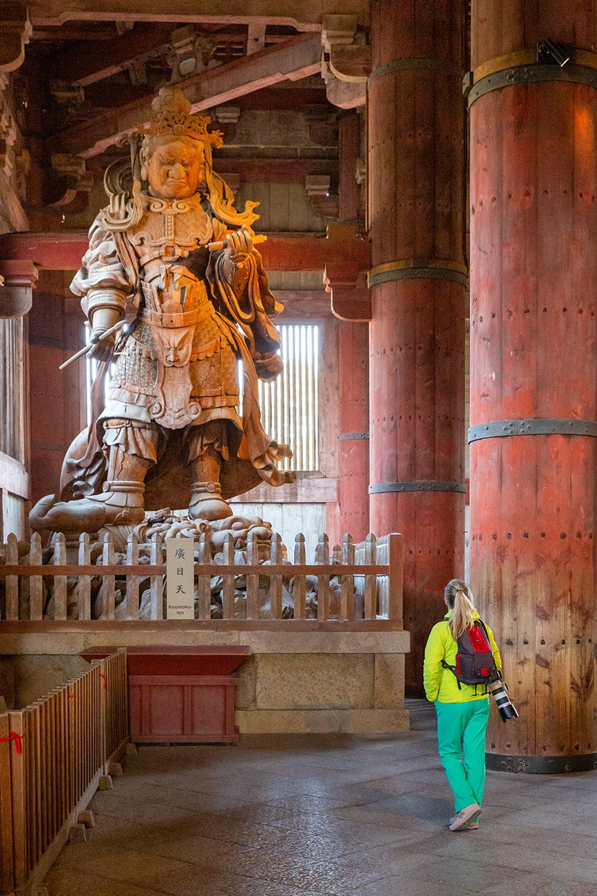 Hanami Season in Japan. Pet, Senior, Landscape, portrait studio, photographer in Miami and Sou