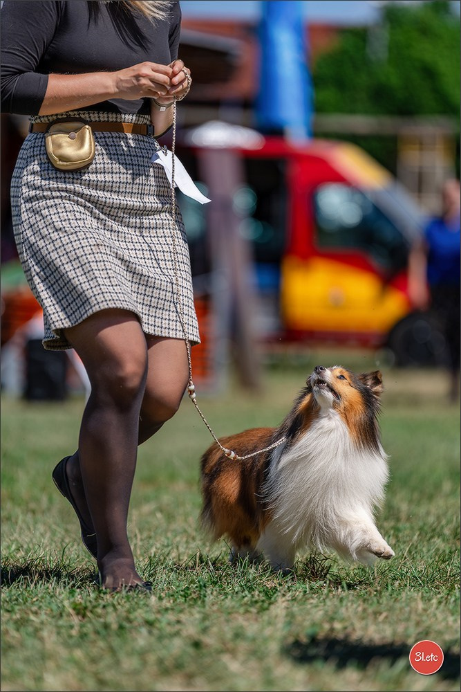 Dog Show - Hallbergmoos 🇩🇪 11-12/07/2026