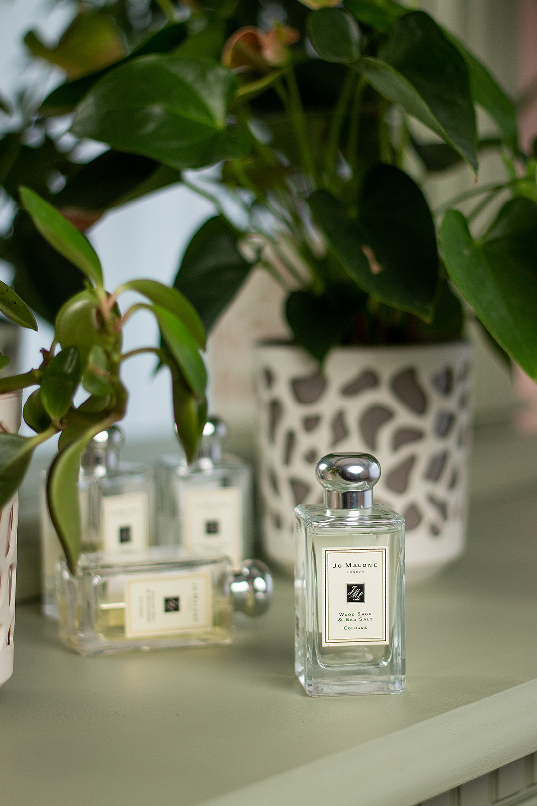 Produktfotografie, Content-Fotografie. Svetlana Vidru Fotograf aus Speyer und Germersheim