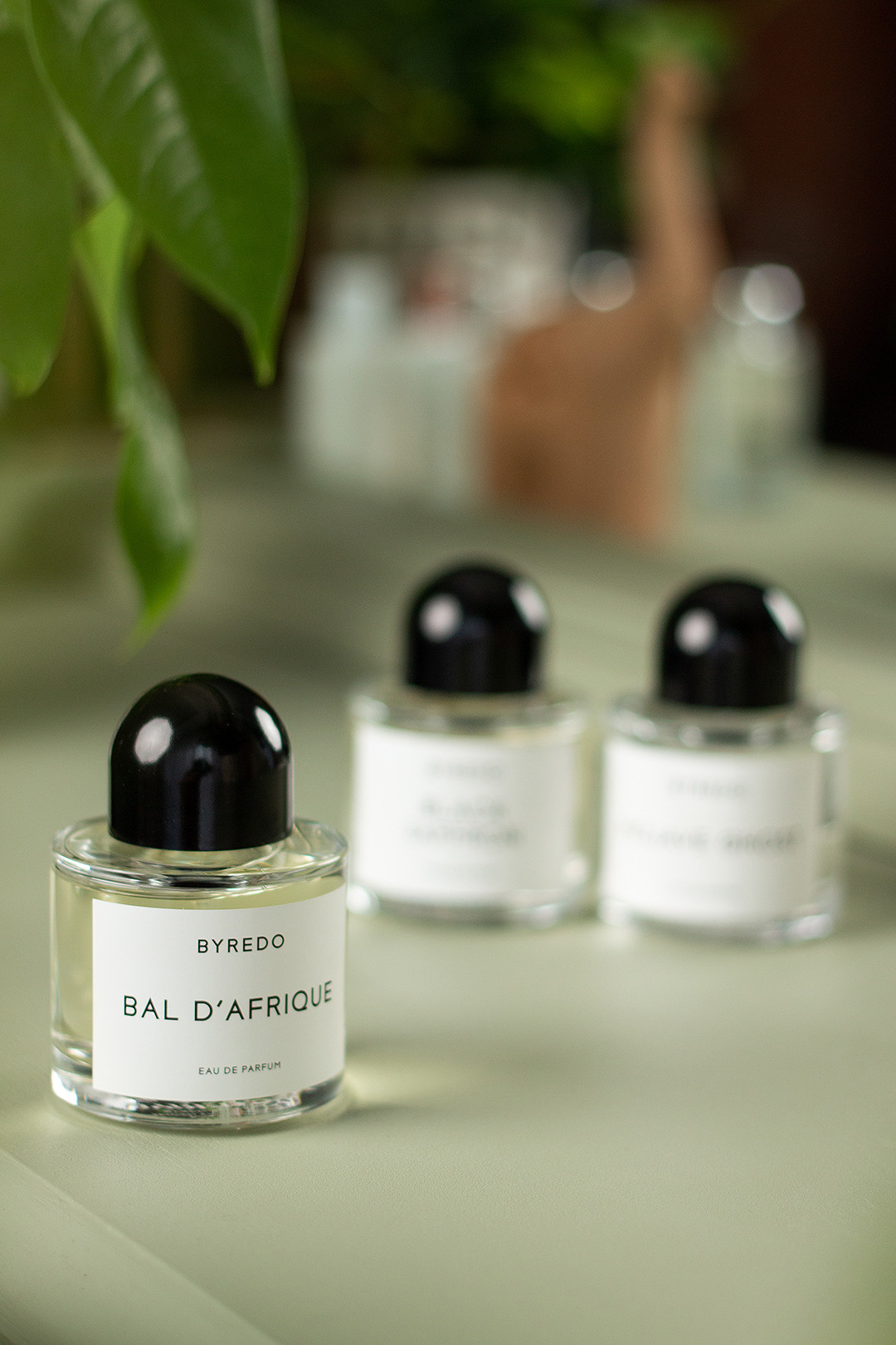 Produktfotografie, Content-Fotografie. Svetlana Vidru Fotograf aus Speyer und Germersheim