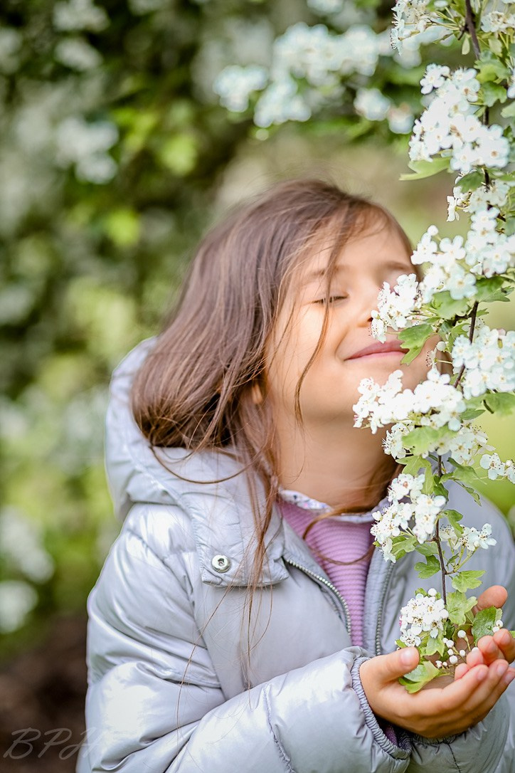Cherry Blossom. Family & children’s photographer in Herts & West London Iryna Blair