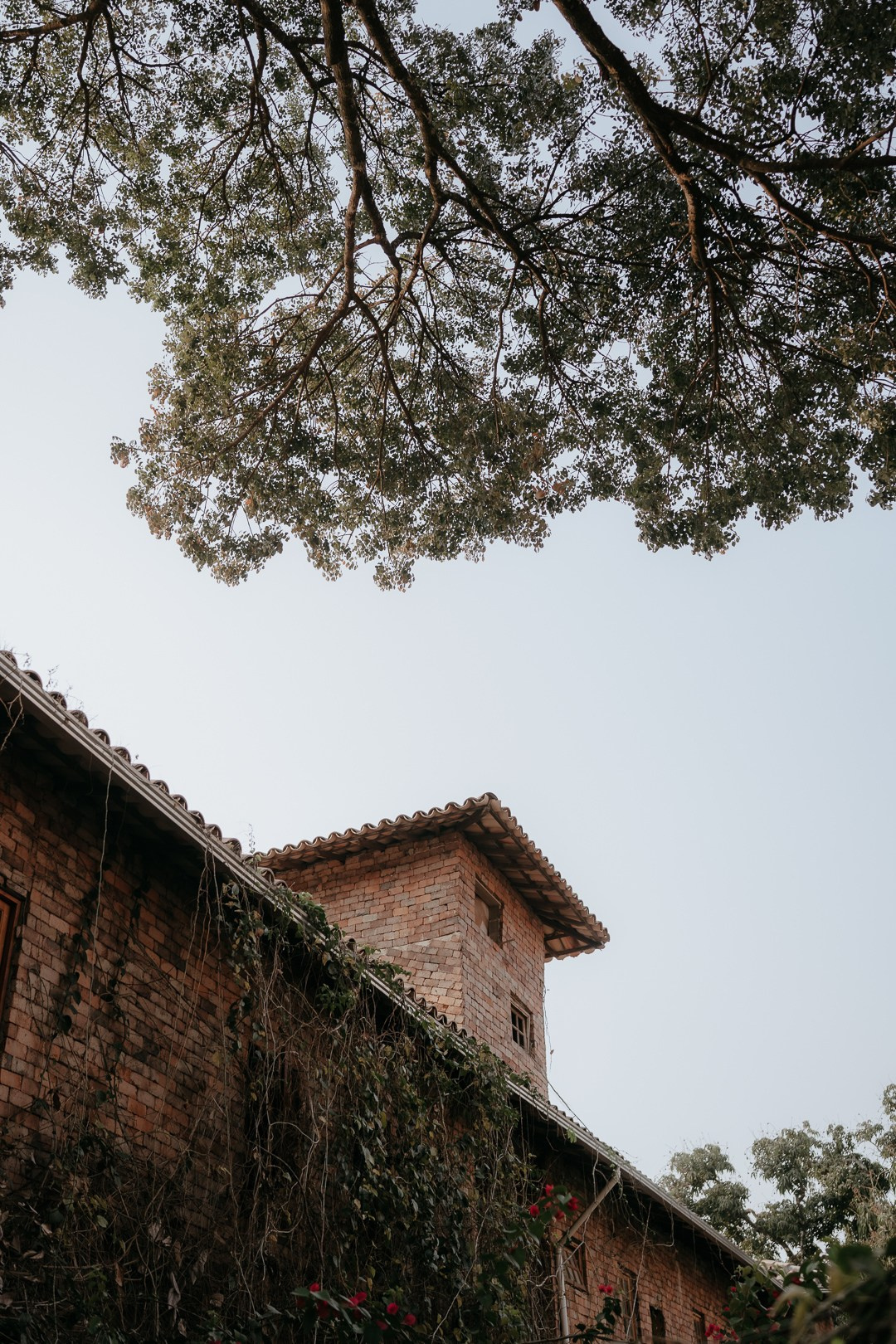 Debora e Andre. Edu e Josi Fotografia de Casamento em Belo Horizonte | Fotos Naturais