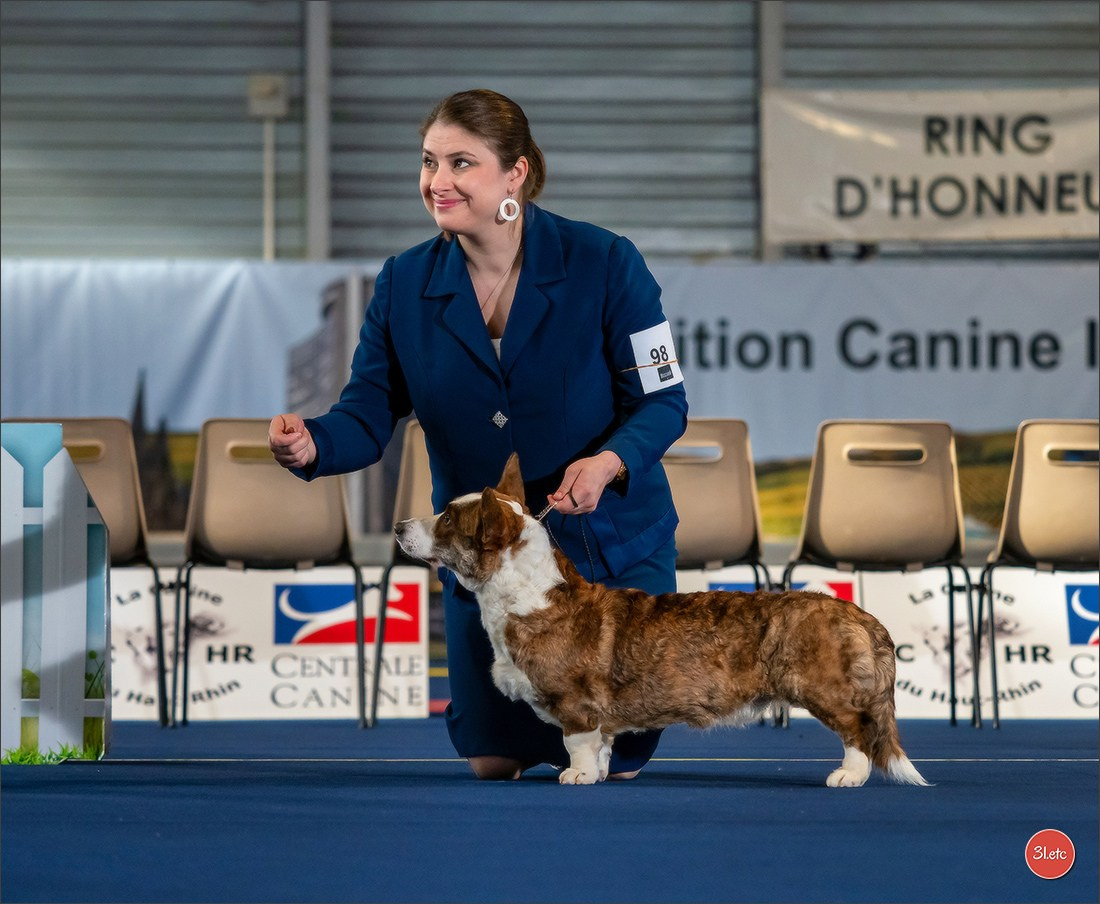 Photographie animalière. Photographe à Strasbourg | Portraits, Studio, Enfants, Événements