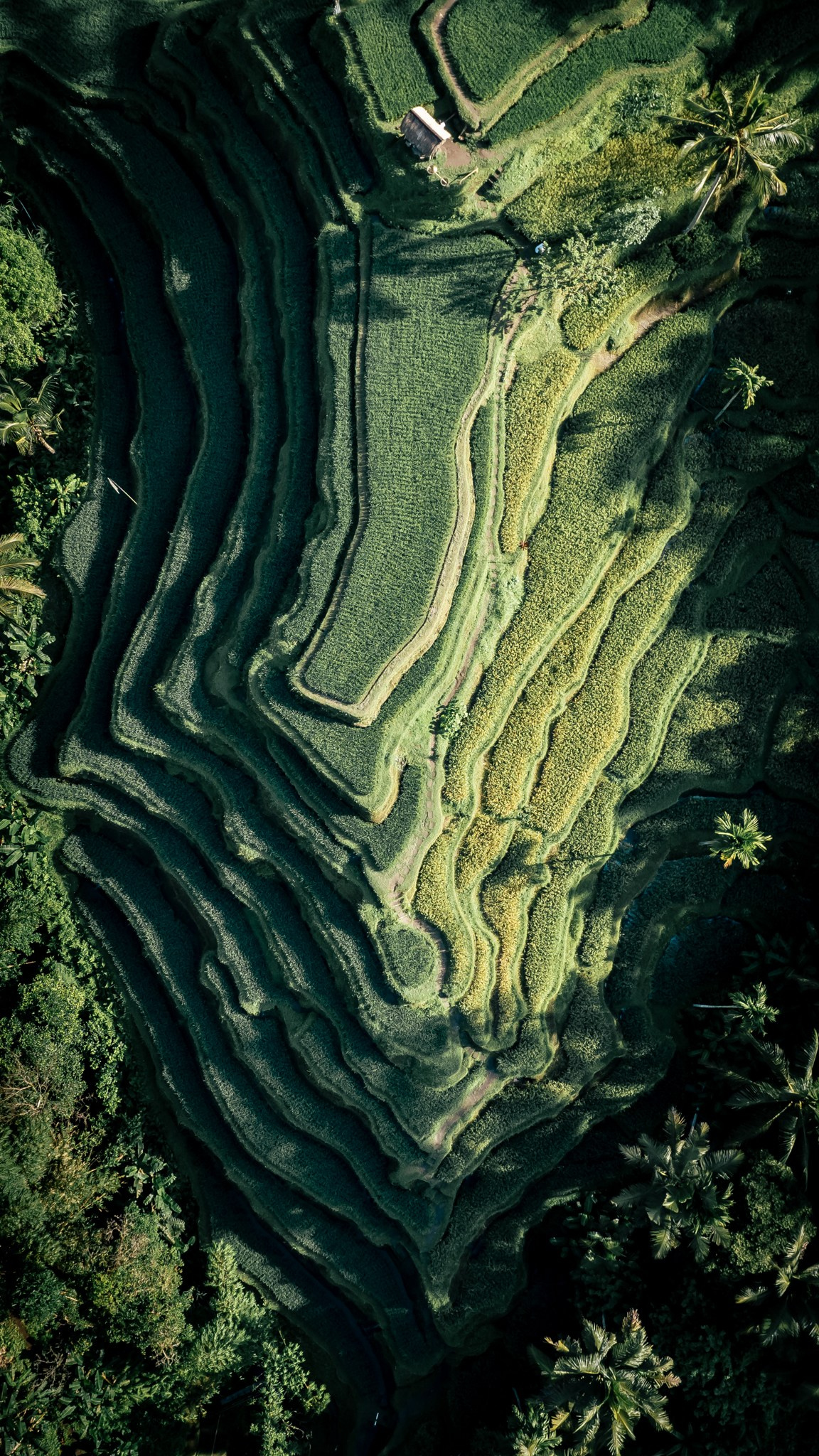 Travel. Jega Photography