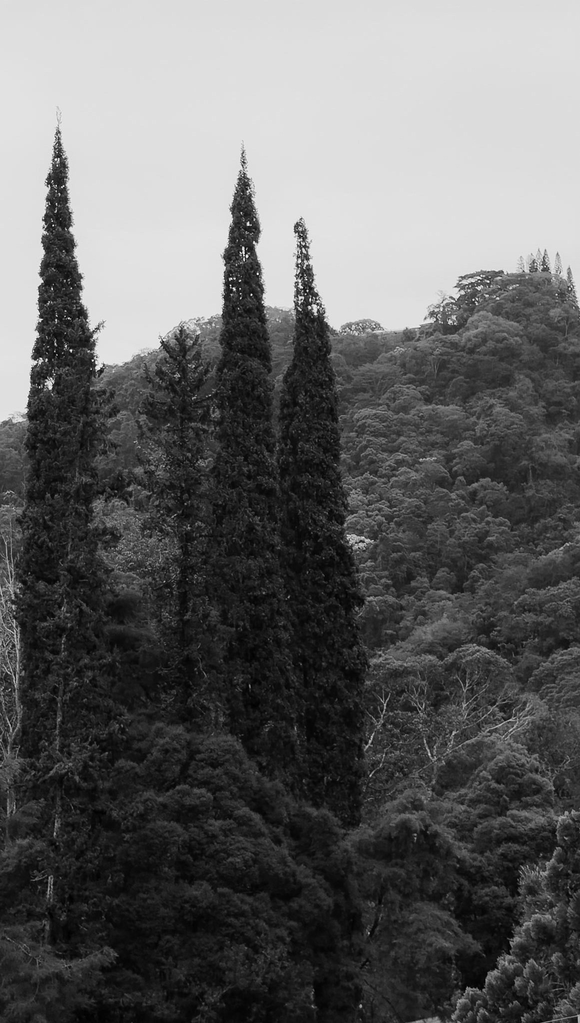 Casamento da Ilana e do Breno no Château do Lago