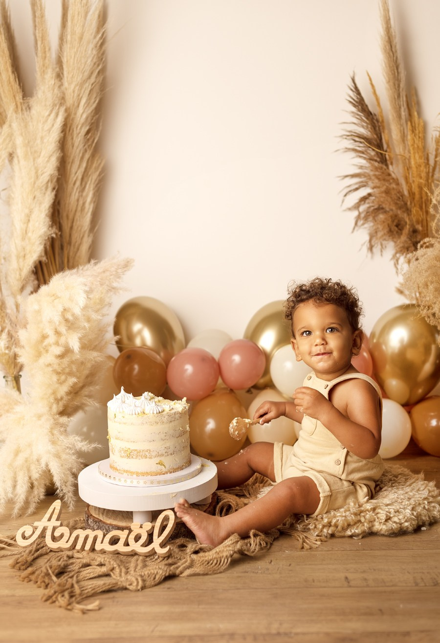 Shooting Smash the Cake bébé Nord