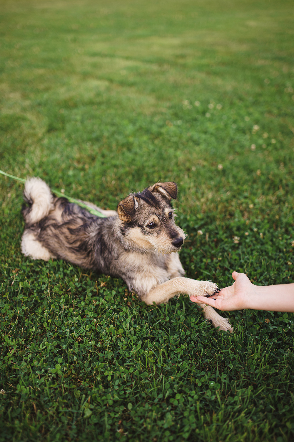Maria und Krasimir. Fotograf in Bulgarien Katerina Zubkova