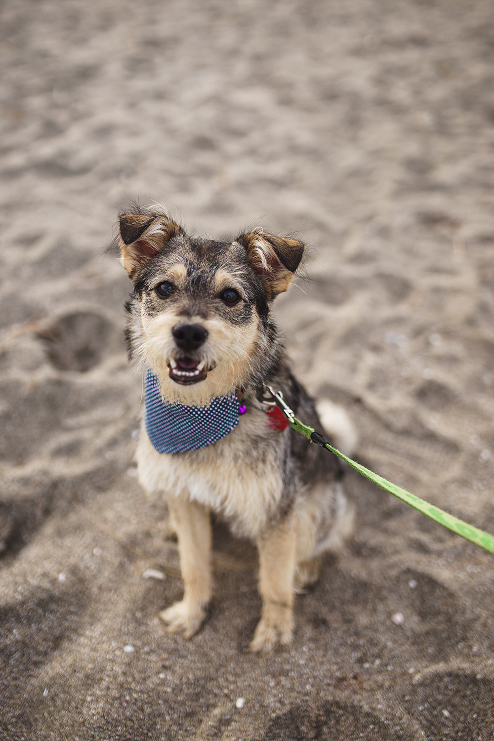 Maria und Krasimir. Fotograf in Bulgarien Katerina Zubkova