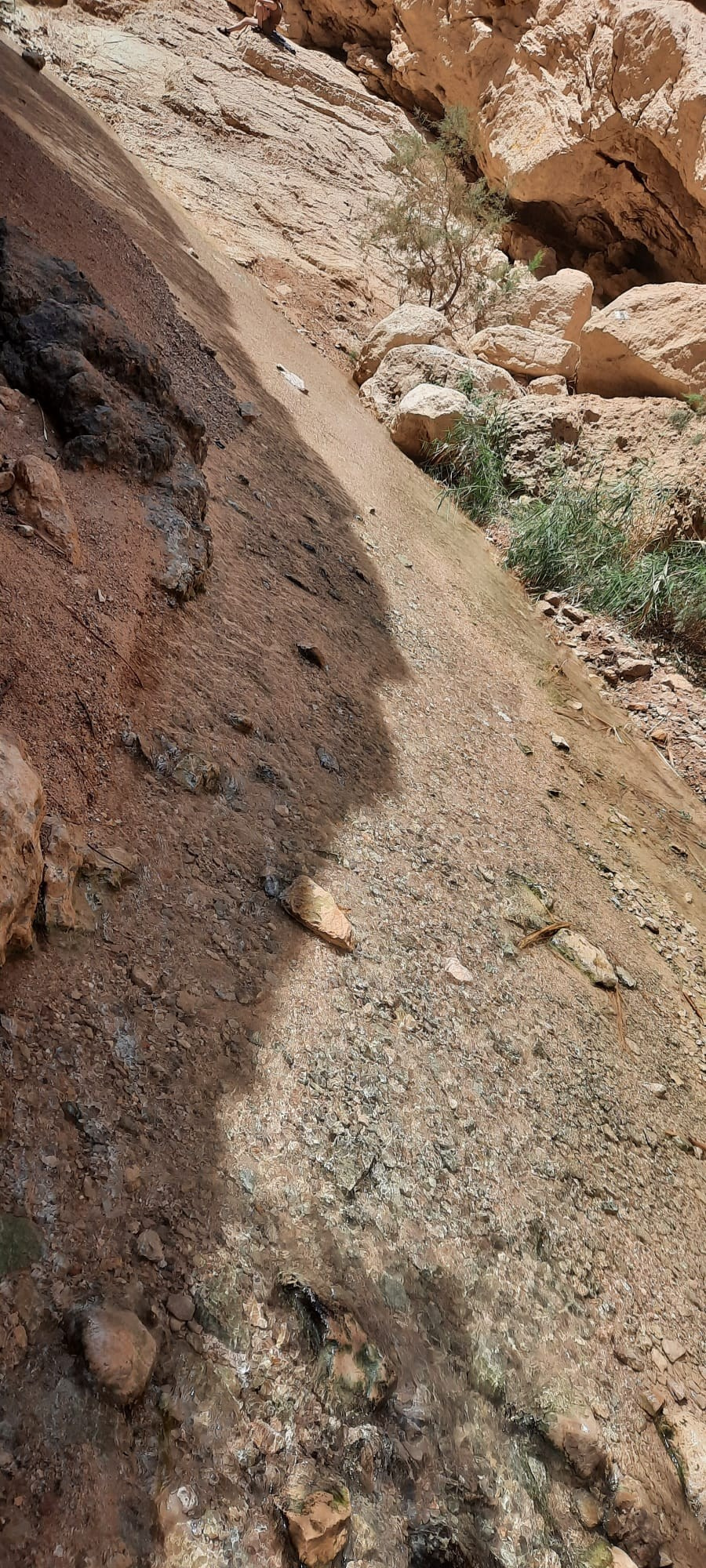 Женский поход 2024 — клуб «Нортман». КРиС «Нортман»