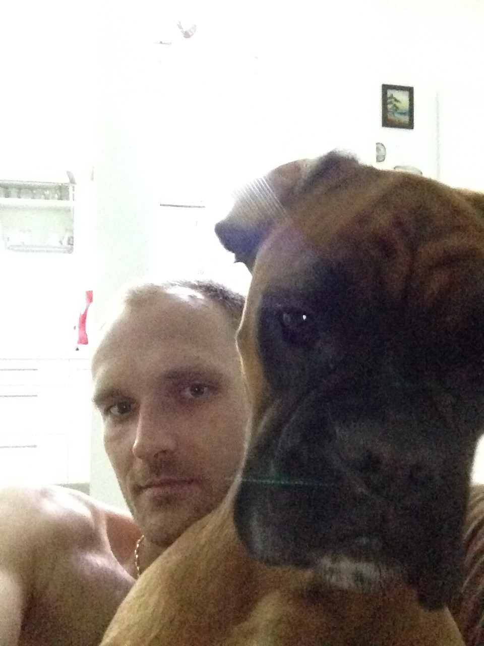 My ״Star״ Boxer Dog