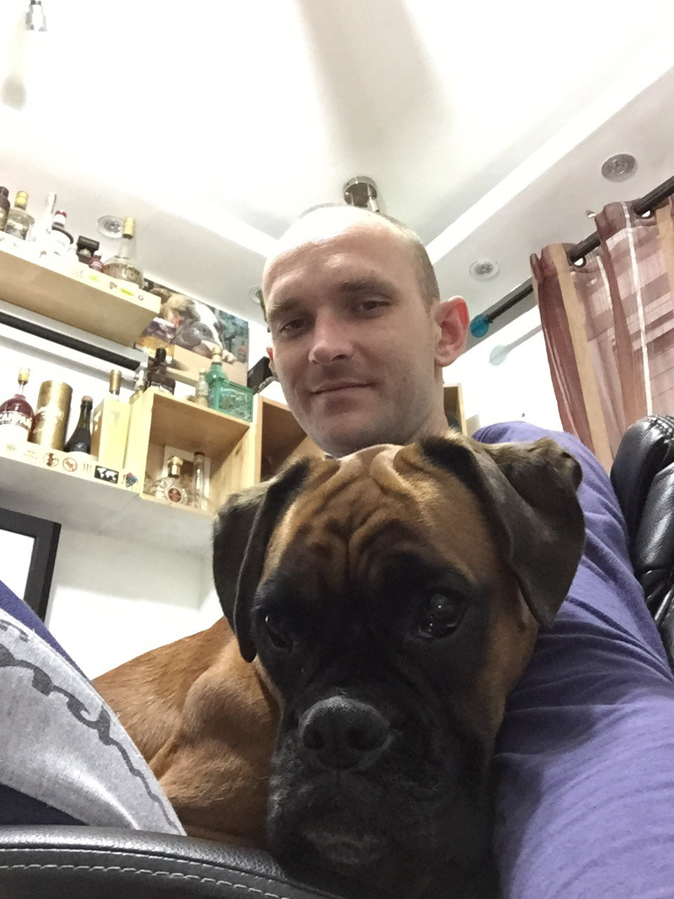 My ״Star״ Boxer Dog