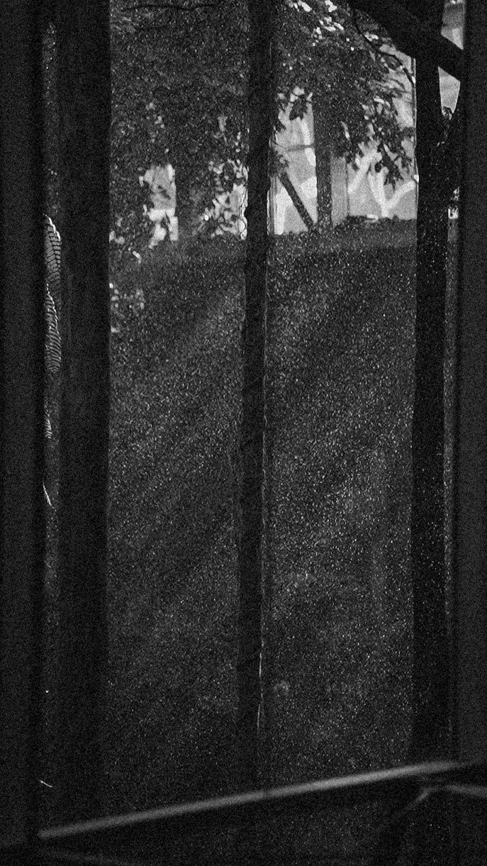 ЕВРОТУР. Стрит-фотография, полная абсурда, идиотизма и красоты