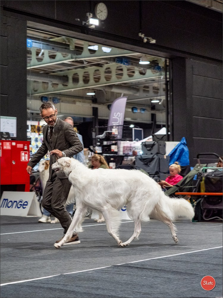 🇱🇺 LUXEMBOURG 🇱🇺 International Dog Show 🇱🇺 30/08 - 31/08/2025. Photographe à Strasbourg | Portraits, Studio, Enfants, Événements