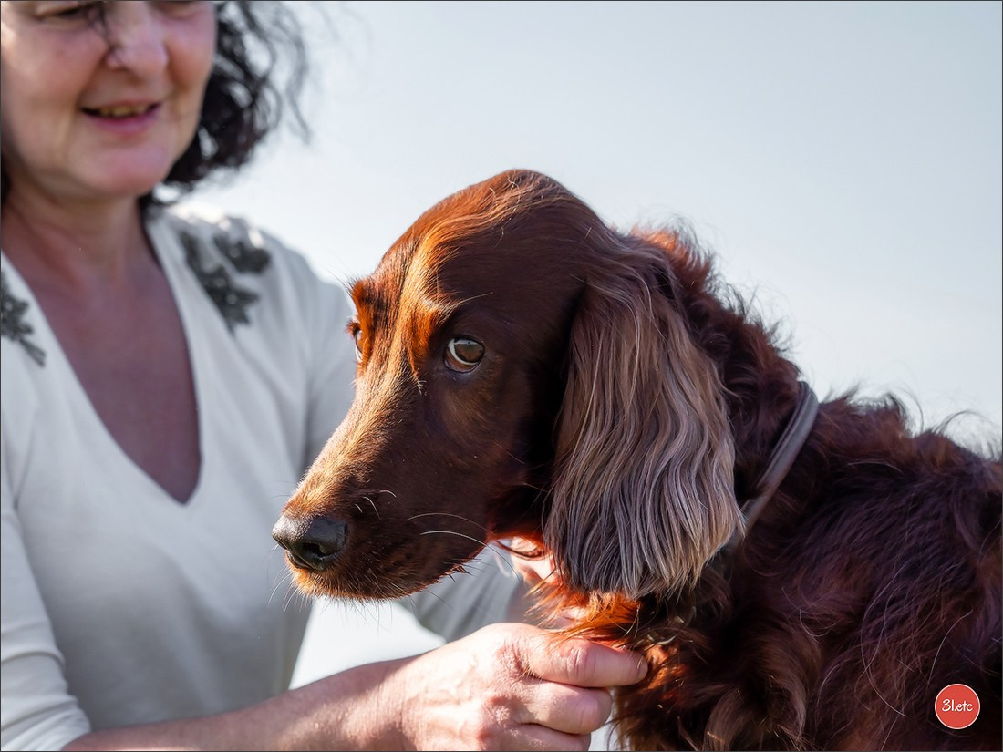 Exposition Canine à  Margny-lès-Compiègne 14-15/09/2024. Photographe à Strasbourg | Portraits, Studio, Enfants, Événements