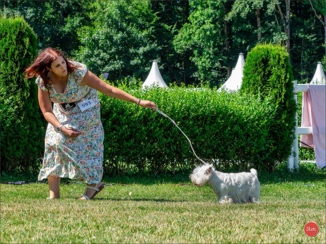 🇨🇭 Geneva Dog Show 15-17/11/2024. Photographe à Strasbourg | Portraits, Studio, Enfants, Événements