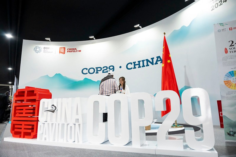 COP29. Ulvidasdamir.com