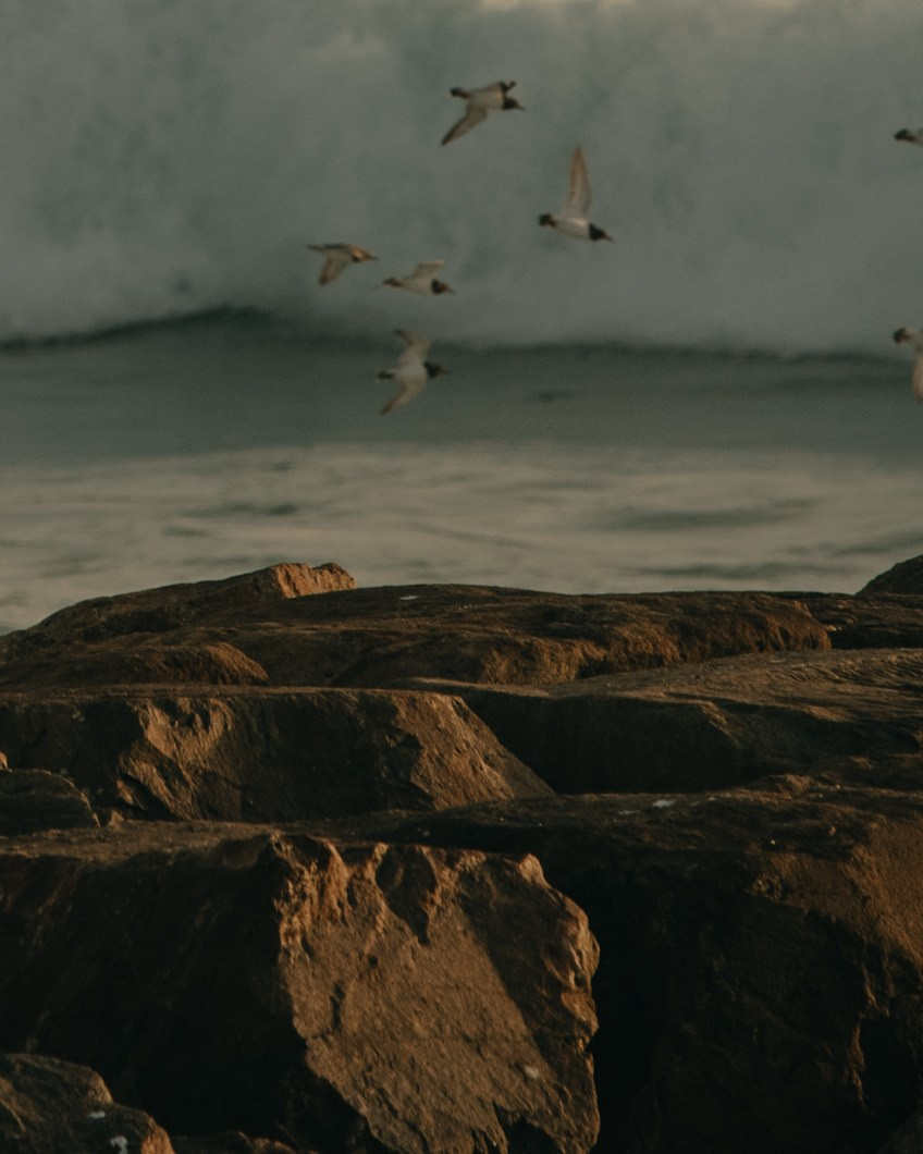HELENA and PEDRO. Espinho. Anastasiia Antoniuk portrait, family and couple photographer, Portugal