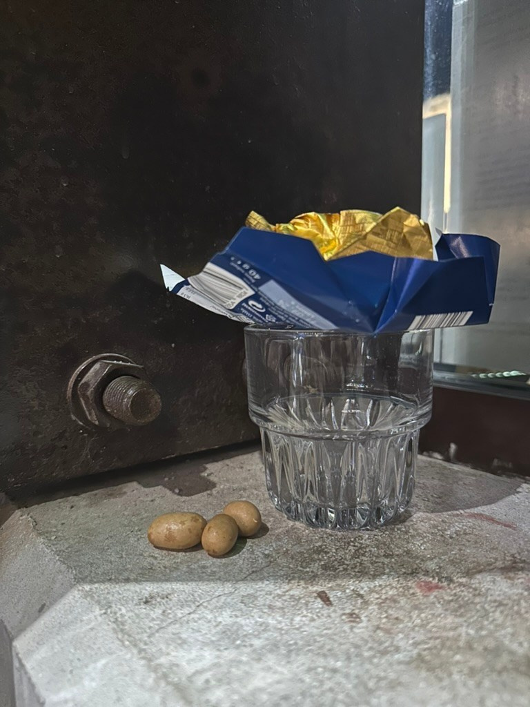 Still life. Ant | photo