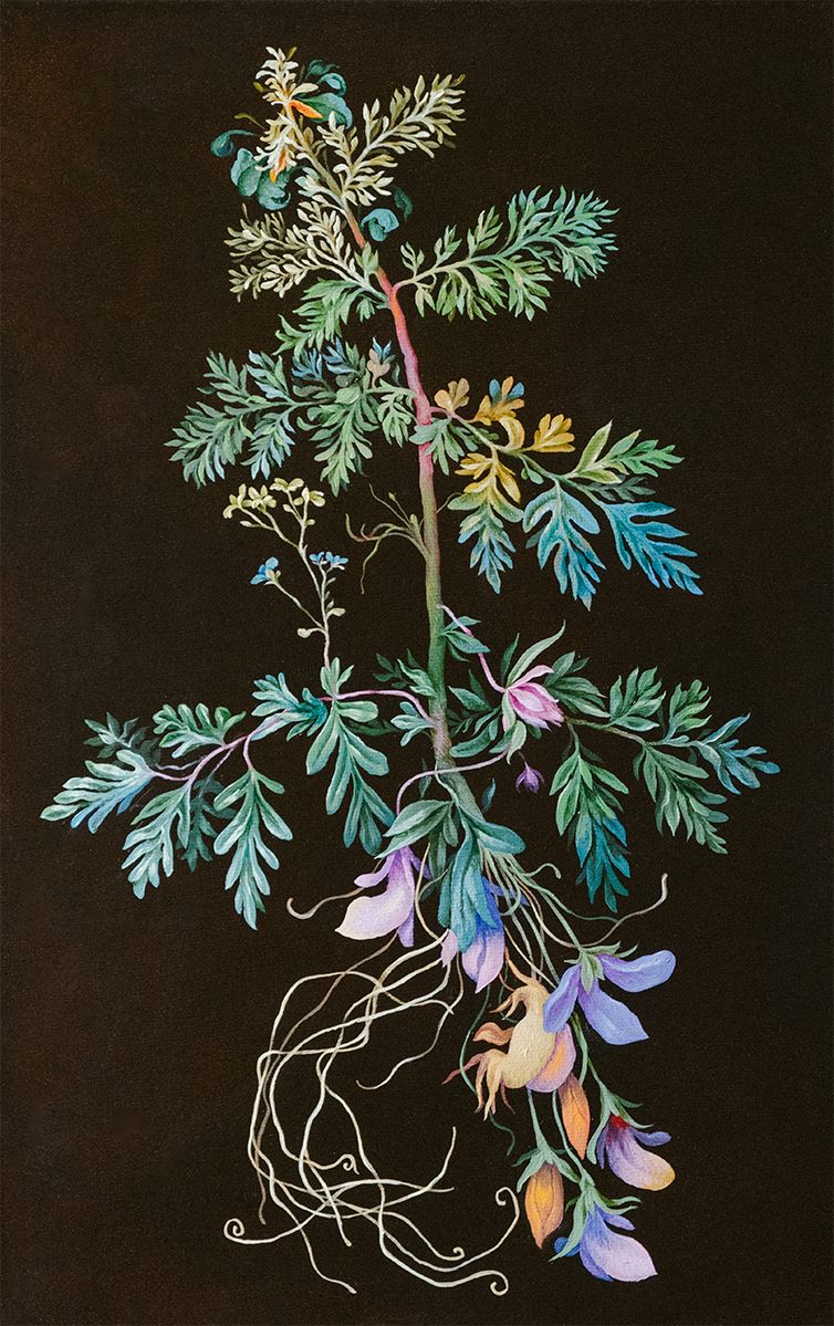 Botanical Etude No. 2. ELEN BEZHEN