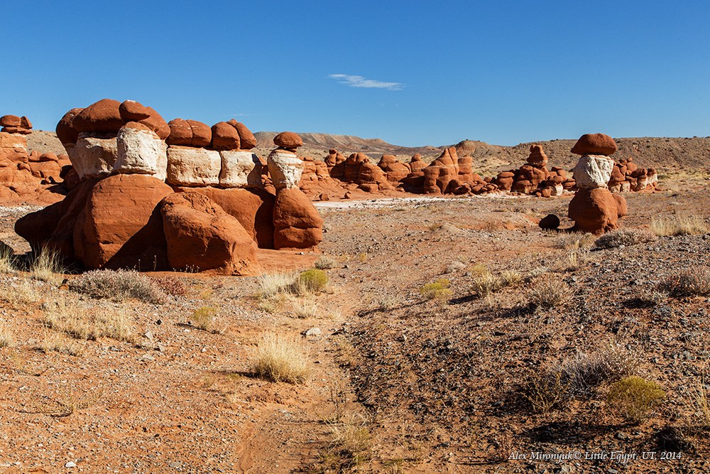 Eagle’s View: The American Southwest. Pet, Senior, Landscape, portrait studio, photographer in Miami and Sou