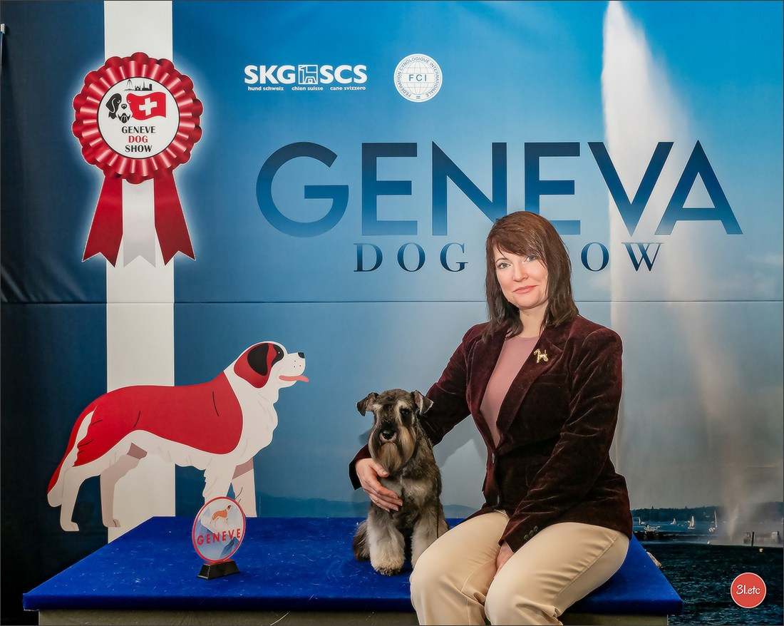 Photographie animalière. Photographe à Strasbourg | Portraits, Studio, Enfants, Événements