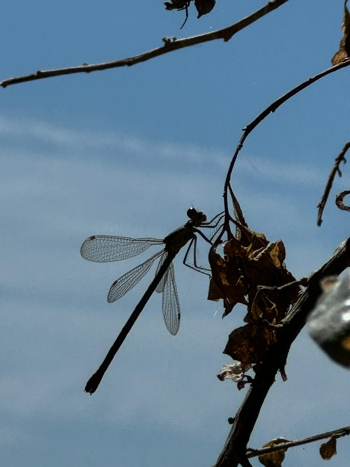 Autre. Alain Abellard - Photographe