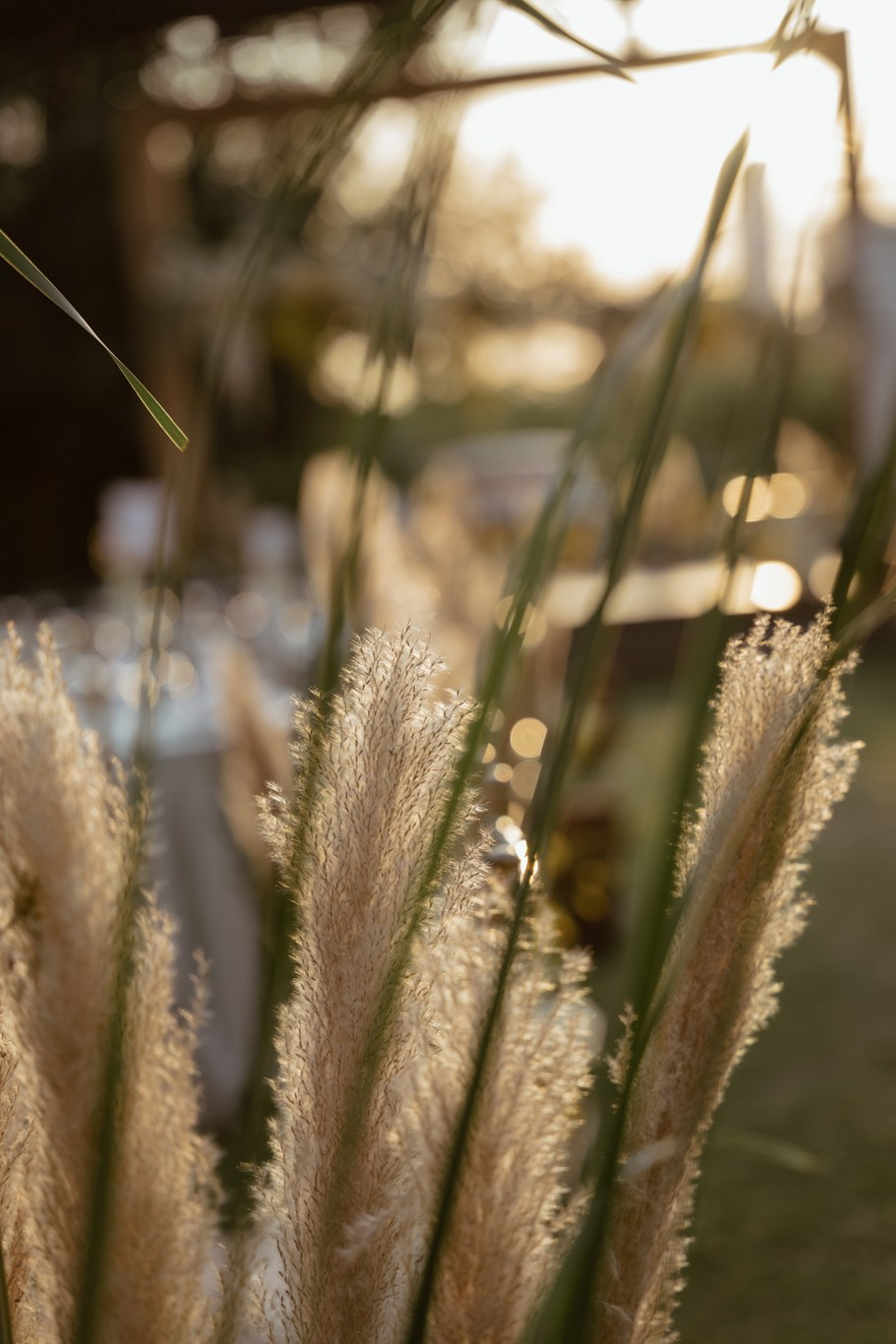 DUNG & ANH. WEDDING PHOTOGRAPHER IN VIETNAM