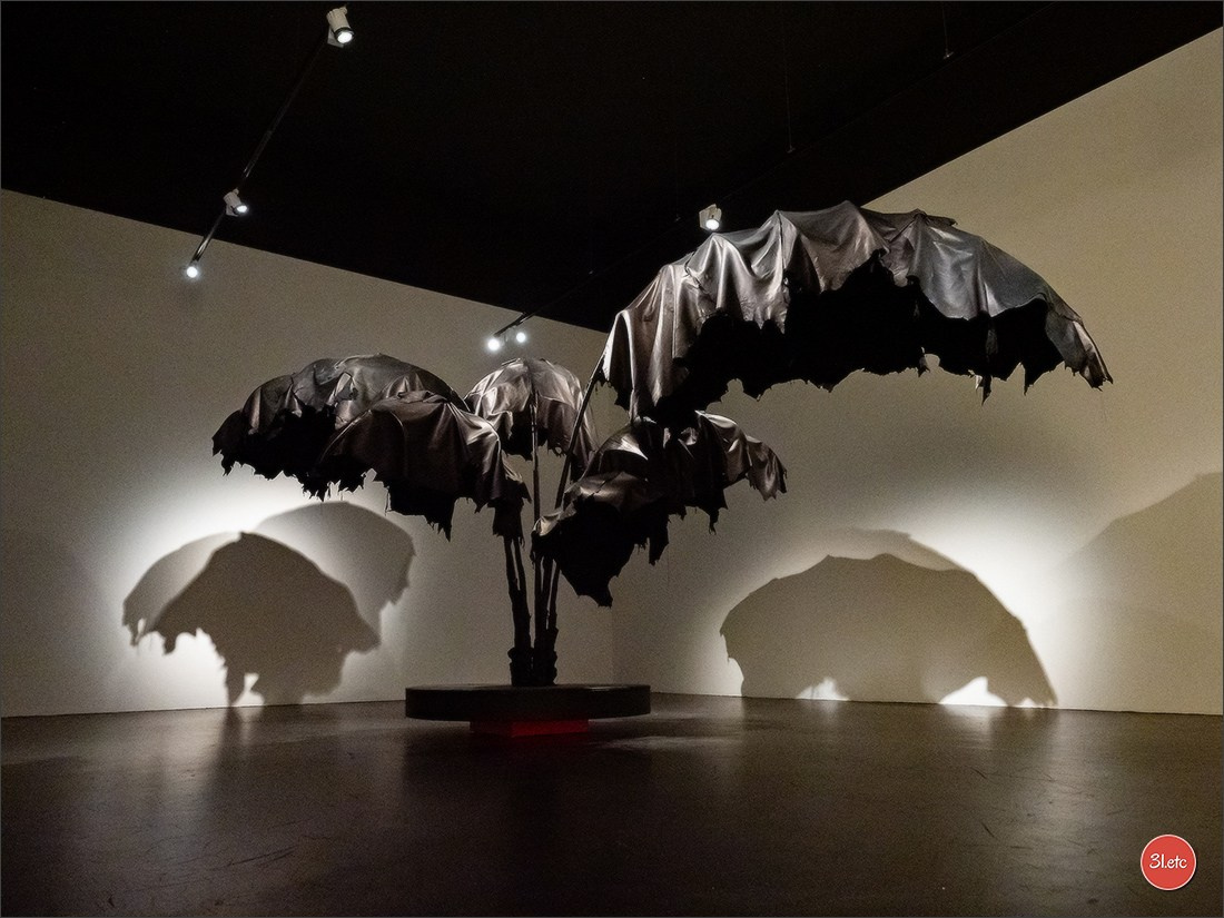 Musée d'Art Moderne et Contemporain de Strasbourg. Photographe à Strasbourg | Portraits, Studio, Enfants, Événements