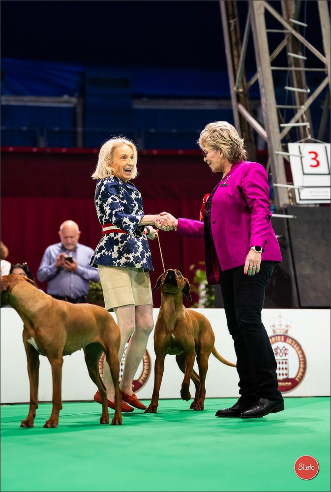 Expo canine 🇲🇨 Monaco 9-10/05/2026. Photographe à Strasbourg | Les animaux, Portraits, Studio, Événements