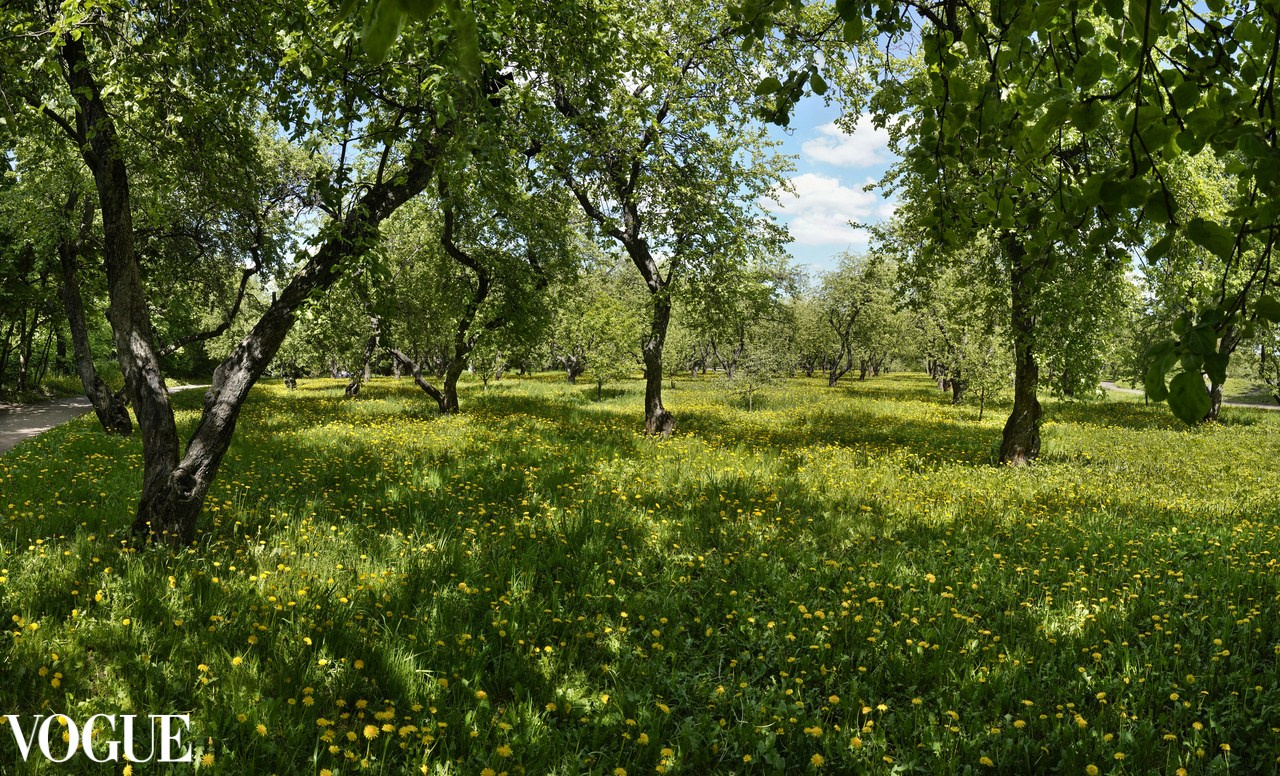 Красота садов и парков. Суть фотографии в стиле изобразительного искусства
