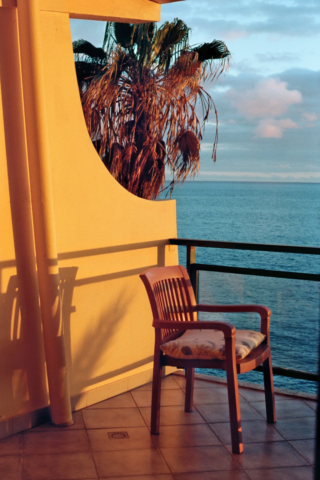 Madeira on film. Portrait photographer in Madeira — Marina Shtukina