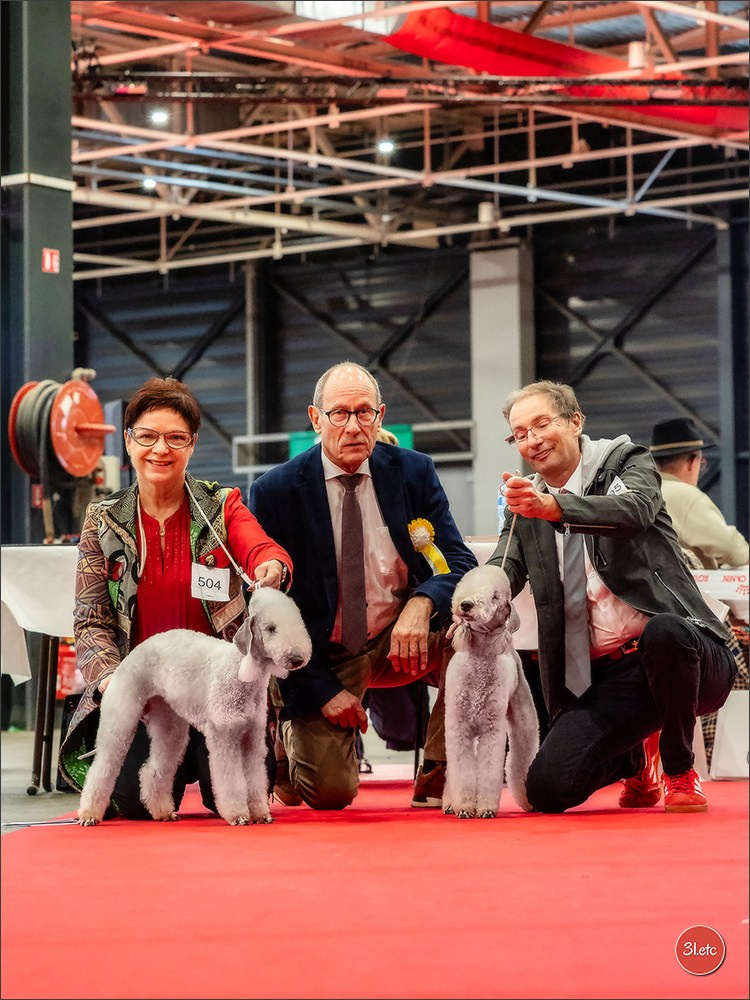EXPOSITION CANINE NATIONALE ET INTERNATIONALE DE METZ (ACT LORRAINE) METZ (57) - 09 & 10/11/2024. Photographe à Strasbourg | Portraits, Studio, Enfants, Événements