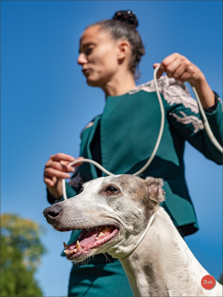 Dog Show Ludwigshafen  🇩🇪  16-17/08/2025. Photographe à Strasbourg | Portraits, Studio, Enfants, Événements