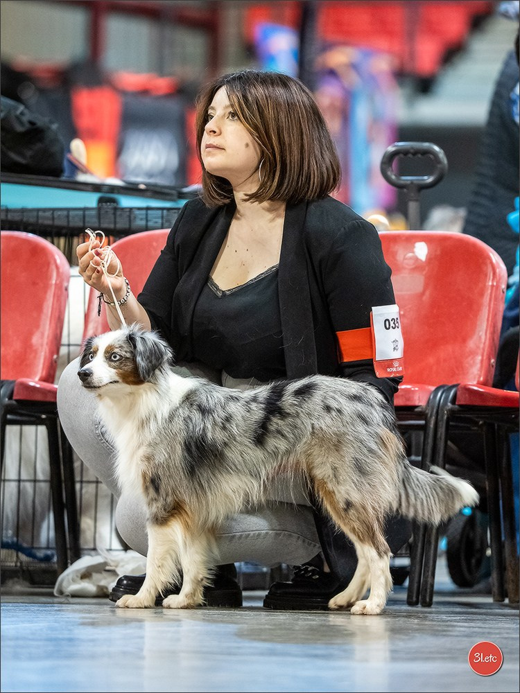 Expo canine 🇫🇷 Martigues  19-20/04/2025. Photographe à Strasbourg | Portraits, Studio, Enfants, Événements